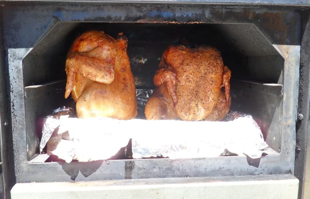 Wood Fired Double Oven Sole Gourmet Pizza Fire Smoker